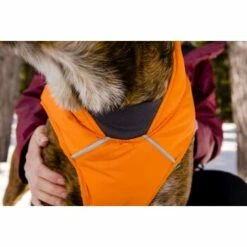 Ruffwear Quinzee™ Hundejacke Orange M 21 Ruffwear Quinzee™ Hundejacke Orange M -FRESSNAPF Geschäfte 001bdf29a34dffebf7840b4a759030f83c299732 1370013 de DE 17dd615b14a3a705025267b6458fddf099eb308bn8H5c2