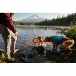 Ruffwear Hydro Plane™ Spielzeug M Orange 12 Ruffwear Hydro Plane™ Spielzeug M Orange -FRESSNAPF Geschäfte 006b8682fcf44b40a786d55bd2f1d1cf7f91a7a7 1364300 de DE b9c71d828876a94633bfda1055d03e137f81043ehPprdP