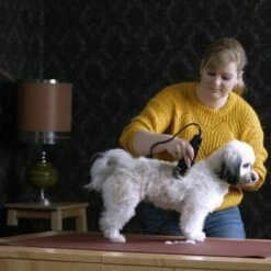 Moser Schermaschine REX 9 Moser Schermaschine REX -FRESSNAPF Geschäfte 0120e23cbbd117c6470fc3d502c620ab135274e4 b1f5e93e5a40034fedcce3cc2d556a96fa49d73f