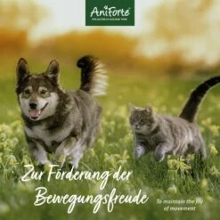 Aniforte MSM Pulver 300g -FRESSNAPF Geschäfte 015cff2ab7052307a054b07e2455a1716a21bfb4 1472624 de DE 4c4323a13282fd07c53e518bf329d72b94d75ac95mimOv