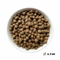Eat Small EatSmall 10kg Mini Balance Trockenfutter -FRESSNAPF Geschäfte 022311929b7a668588c438a801ffcb397cc4f6a5 1450724 de DE ef1a1257b12edf1ce0a516e027bab83024c70daeCWb9u6