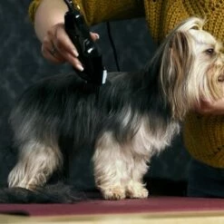 Moser Schermaschine Typ 1400 -FRESSNAPF Geschäfte 02df9a45ad10057f7cdfbb122412b44ddb24fd91 7c7f90f149fd71377858189c53a8f5cca4170f60