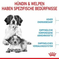 ROYAL CANIN Medium Starter 15 Kg 17 ROYAL CANIN Medium Starter 15 Kg -FRESSNAPF Geschäfte 03a28cbfa060fbe0cdfb173eaf6e1963dd73e6d3 c4664a5aa615f87e883339daf8410e0a16da2316