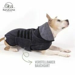 KaraLuna Bademantel Für Hunde XS -FRESSNAPF Geschäfte 03f83cf242d0a2d273b7c7fd5c24e5a315631dc0 1678940 de DE 18943efe1d2e504eb277f7fcc88424980d4487ac7sFjlx