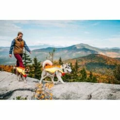 Ruffwear Lumenglow™ High-Vis Hundejacke Orange XL -FRESSNAPF Geschäfte 055f8ec457e40b7d33e9c275c20ea79bae1e006a 1378153 de DE e8b1f6094bc39d07bc90bd4fe7fc0806cf22bedaBId7iB