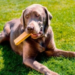 Larsson Yaky Kaukäse XL -FRESSNAPF Geschäfte 06d40594a1ce5b7fb2b9172bc3bce44107037525 1327624 de DE 620ca0cdbae088fab54671a36b17dafb3fbfc6ccVv825o