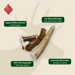 ChronoBalance Rothirsch Geweihstange Ganze Und Runde Stücke 300 G 13 ChronoBalance Rothirsch Geweihstange Ganze Und Runde Stücke 300 G -FRESSNAPF Geschäfte 08e6e76c5c3e8863d054d54fbc69325510bb6eb3 1409643 de DE 97f6faa2e066481717c6e9970bb381a3824303b8rqJ9OV