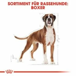 ROYAL CANIN Boxer Adult 12 Kg -FRESSNAPF Geschäfte 0a1e579b39821652565758b5ee804a79a6bf8957 9d8dd228dff8f4c8af80f6f9491d9cdf53626cb6