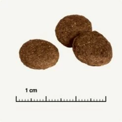 REAL NATURE Country Selection Andalusia Rind Mit Spanischem Kaninchen 12 Kg -FRESSNAPF Geschäfte 0a7fce7b39ad9a46e9b5bd24525cc5f14df99cb4 1325173 de DE 6