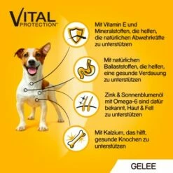 Pedigree Vital Multipack Portionsbeutel In Gelee 40x100g 10 Pedigree Vital Multipack Portionsbeutel In Gelee 40x100g -FRESSNAPF Geschäfte 0a8a05cf3e2550b662c3b88d4eb3c20880e13f55 1280045 de DE 5900951267833 SI1 1
