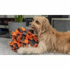 TrendPet Schnüffelball Orange -FRESSNAPF Geschäfte 0b3adcfec2519e0c6e929e0267a6c980a87babfc 1347789 de DE 4bd3ff6adcaeee7c376418b75c81fae19b8db63bwKh8XT