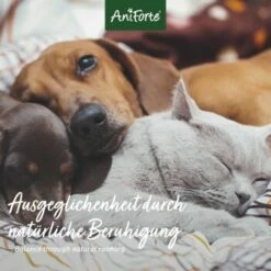 Aniforte Bachblüten Wohlfühl 11 Aniforte Bachblüten Wohlfühl -FRESSNAPF Geschäfte 0cd967852dfdee41ec01be7a685b667875afe26e 1480464 de DE 560f89e516cd19f6fa4c035a9f065c2ddb1ab7432PWc6B