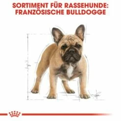 ROYAL CANIN Französische Bulldogge Adult 9 Kg -FRESSNAPF Geschäfte 1103d82fc7346a11a9ee81a9ab4bdcb41136307d 6122fbb549b8e1d90a8dc5cfef9eb2854b87768f