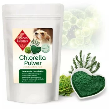 ChronoBalance Chlorella Pulver 100 G 3 ChronoBalance Chlorella Pulver 100 G