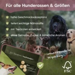 Pawlie's Gelenk Fit Tabletten Hund (100 Stück) -FRESSNAPF Geschäfte 13c2aa37a08da916b1cd8014d264ba1cb5e12204 1626201 de DE 016987b286bf5101f5ed2a1610825cada7f4cd39esKrs5