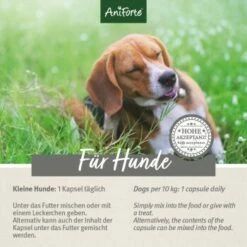 Aniforte Zecken Schild (bis 10kg) Für Kleine Hunde 60 Kapseln 13 Aniforte Zecken Schild (bis 10kg) Für Kleine Hunde 60 Kapseln -FRESSNAPF Geschäfte 14f92616b6322b4e62e01d29fcccaf885e976307 1332831 de DE 6bc9b6e0f4008a56f840e783386b682a64027c34fBMT6s