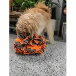 TrendPet Schnüffelball Orange -FRESSNAPF Geschäfte 150c7485ceb45f446eae94d286af034396b6b839 1347789 de DE 0d959a3cb36067968769c2d102a66fcc1f59a724hVebVb