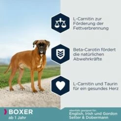 EUKANUBA Breed Specific Boxer 12 Kg -FRESSNAPF Geschäfte 150ce633efb06df2286f6b436dd0b99ce4031557 35ba2b1deb9369de7faf09856f79dd7dd41aa4c5