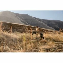 Ruffwear Hover Craft™ Spielzeug Orange -FRESSNAPF Geschäfte 15670c7f824cb67257971dca32974b68eba14a2f 1364297 de DE f53c4ca5615bcabb9ccbd712339b8f568f29402frPrk2m