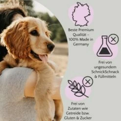 FAVLY Petfood FAVLY Probierpaket "Starter" -FRESSNAPF Geschäfte 157f4277f4fc2e8da8d7a229372118c7271db7ef 1475313 de DE 1599c09ca60134efdb65d5d73f221243ffcd3c9a0x3zzL