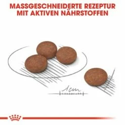 ROYAL CANIN Digestive Care Mini 8 Kg -FRESSNAPF Geschäfte 15f203ed16484deb33394e1f84dc5add5d4ff65e aa56280465c38a3085176e55b09d1352e5cf0996