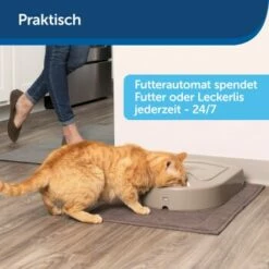 PetSafe Futterautomat Für 5 Mahlzeiten -FRESSNAPF Geschäfte 160a358bdd3d1ca1da552fb21ae467d35c7bd9b3 1176866 de DE c62181339e82867f8aa0aca62fddf3d726ac874aAdRJI6