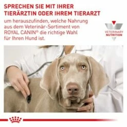 ROYAL CANIN Veterinary Dental 6 Kg -FRESSNAPF Geschäfte 16843fa032146fc66c5f1471f85011a53672ca20 1154390 de DE RC VET wb 6