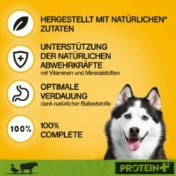 Pedigree Dose Protein+ In Pastete 12x800g Rind Mit Ente -FRESSNAPF Geschäfte 1696c2b3fa0bb6b039068e7fe6dce0a8f30d7069 1394131 de DE pedigree 2