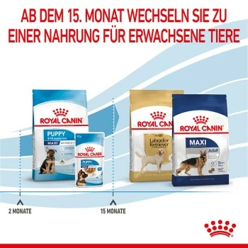 ROYAL CANIN Maxi Puppy 10x140g 6 ROYAL CANIN Maxi Puppy 10x140g – Bild 4
