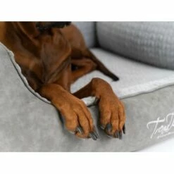 TrendPet VitaBed Style Orthopädisches Hundebett Grau S -FRESSNAPF Geschäfte 1ab0715e2abedd704cef19debbfb3fb5005350f1 1390626 de DE 39c90883b3b1f108ce89c25d7bd76a1b2516b420pGeUjP