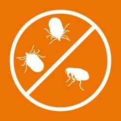 Ardap Zecken- & Floh-Halsband Für Hunde M -FRESSNAPF Geschäfte 1bc61f7f2a6b5fad74935e26e6e291a622b94e71 1221081 de DE 216402434a597a152b5e3e2d02d3c041c3a61282i3TU7T