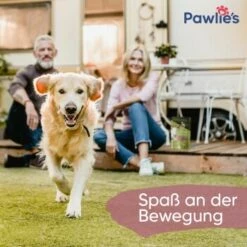 Pawlie's Gelenk Fit Tabletten Hund (100 Stück) -FRESSNAPF Geschäfte 1c6a6429b71eab5415d0214c381f07051a1fc258 1626201 de DE fc246e46dc05978124c2e49ef6a7667224e432edKNFNet