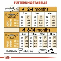ROYAL CANIN Boxer Puppy 12 Kg 13 ROYAL CANIN Boxer Puppy 12 Kg -FRESSNAPF Geschäfte 1d7f5e3d2a00d175774adf8c01d791ebe8277dfc 6dff00cd99ccb72aecf4367e12827d5743855c22