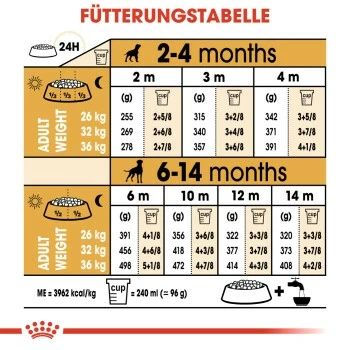 ROYAL CANIN Boxer Puppy 12 Kg 6 ROYAL CANIN Boxer Puppy 12 Kg – Bild 4