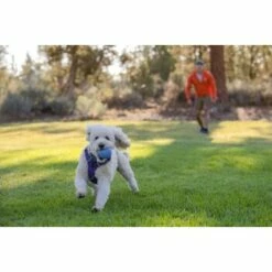 Ruffwear Huckama™ Spielzeug Violett 15 Ruffwear Huckama™ Spielzeug Violett -FRESSNAPF Geschäfte 1e25287ed59c30d76e9b799ca71232e607c6932b 1639706 de DE 4cde75bd4ef04e9f936b40473471e71f69a39443R9gkOp