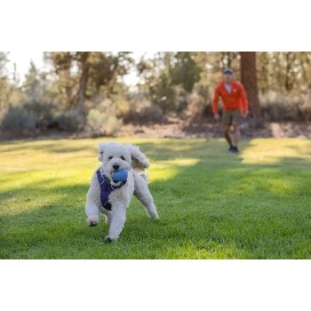 Ruffwear Huckama™ Spielzeug Violett 8 Ruffwear Huckama™ Spielzeug Violett – Bild 6