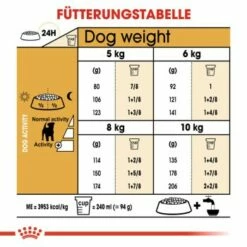 ROYAL CANIN Jack Russell Terrier Adult 7,5 Kg -FRESSNAPF Geschäfte 1e81fc32cccce1339cfc750d749e2885d3f4fced 0b329d56d338b58dd76af5a98d2197ba50658394