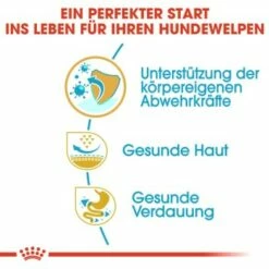 ROYAL CANIN Mops Puppy 1,5 Kg -FRESSNAPF Geschäfte 1ec77d9b282b51a888ba23b88ab9ba8f49e59043 25b2c4affd986b4b4bf8d6cd25ae70e71ca39150