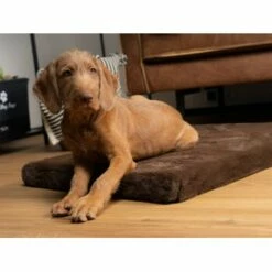 TrendPet VitaMedog Orthopädische 5 Cm Matratze Braun XS -FRESSNAPF Geschäfte 1f7e063200c2d564362d194b0af60fb3ade9f566 1223160 de DE ed537fa91b415038159f45fe33dd09ae07f5456fjrdc9Q