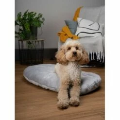 TrendPet Emma Liegekissen Grau S -FRESSNAPF Geschäfte 1fde93a0a4310aa8fdc014ce0a73ac7f5c346f26 1369472 de DE c3a42c6f63354608537a4614c9b7658d690116267U3zzx