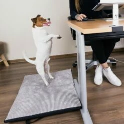 Freudentier Faltbare Hundematte Für Unterwegs S-M 15 Freudentier Faltbare Hundematte Für Unterwegs S-M -FRESSNAPF Geschäfte 2028d765e8e36bbac743fe9fa472973621598490 1445215 de DE 88a2b27d760da648b7a5995f69e3cd880b3018er