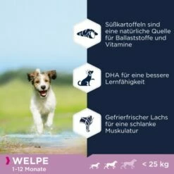 EUKANUBA Welpenfutter Getreidefrei Für Kleine Und Mittelgroße Rassen 3 Kg -FRESSNAPF Geschäfte 2072f288022d2b09737d278958af1d7e42b39eef 1376528 de DE Eukanuba benefits