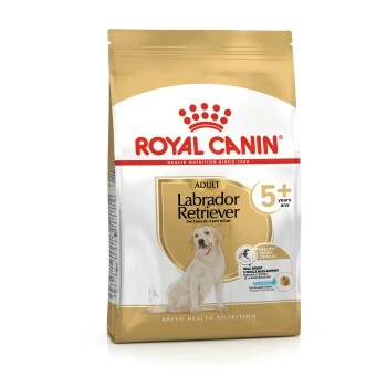 ROYAL CANIN Labrador Retriever 5+ Adult 12 Kg 3 ROYAL CANIN Labrador Retriever 5+ Adult 12 Kg