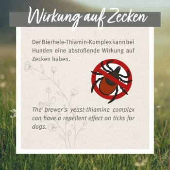 Aniforte Zecken Schild (bis 10kg) Für Kleine Hunde 60 Kapseln 5 Aniforte Zecken Schild (bis 10kg) Für Kleine Hunde 60 Kapseln – Bild 3