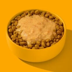 Fred & Felia FRED Smoothie Huhn Mit Kurkuma 10 X 200g 11 Fred & Felia FRED Smoothie Huhn Mit Kurkuma 10 X 200g -FRESSNAPF Geschäfte 236bc2fb7203a95703c196a9d37d1a264cc266a0 1428005 de DE 1d687c6cc508a78e5eeee2cd9e468729594e5ec1PmlLMC