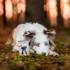 DOG'S LOVE Adult Fleisch Pur B.A.R.F. 6x400g Huhn -FRESSNAPF Geschäfte 23da8a3e43fad305a04436df0548025ecd8d9384 1274546 1