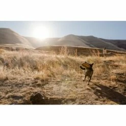 Ruffwear Hover Craft™ Spielzeug Orange -FRESSNAPF Geschäfte 23f3ce0fb188e4f5a253007adc90481d6747961b 1364297 de DE e44fe3627eb338195cfdd7c589598a8edb05def2xpzXS1