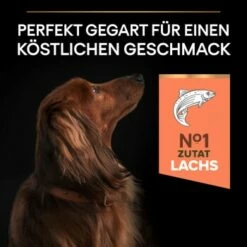 PRO PLAN Optiderma Small & Mini Adult Sensitive Skin 3 Kg -FRESSNAPF Geschäfte 24fea738853bcb740899bd0177404be765200d61 1206421 5