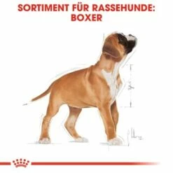 ROYAL CANIN Boxer Puppy 12 Kg 14 ROYAL CANIN Boxer Puppy 12 Kg -FRESSNAPF Geschäfte 26b8108fe7f848d5514f54a6ebebe445e9749634 bc544cb1464daff2fcccab10e7c9f1ae73a4f2d1
