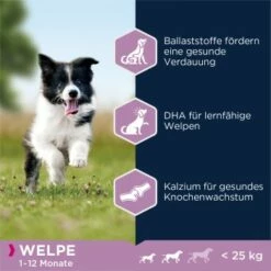 EUKANUBA Puppy Small & Medium Breed Lamm & Reis 12kg -FRESSNAPF Geschäfte 2772d35423acf2340a4f8745c55b089236e57aa4 b883c3e2067227b00037443261fa8b7e4684cd07